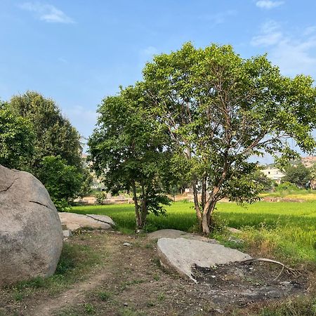 Sunrise Guest House & Restaurant Hampi Exterior foto