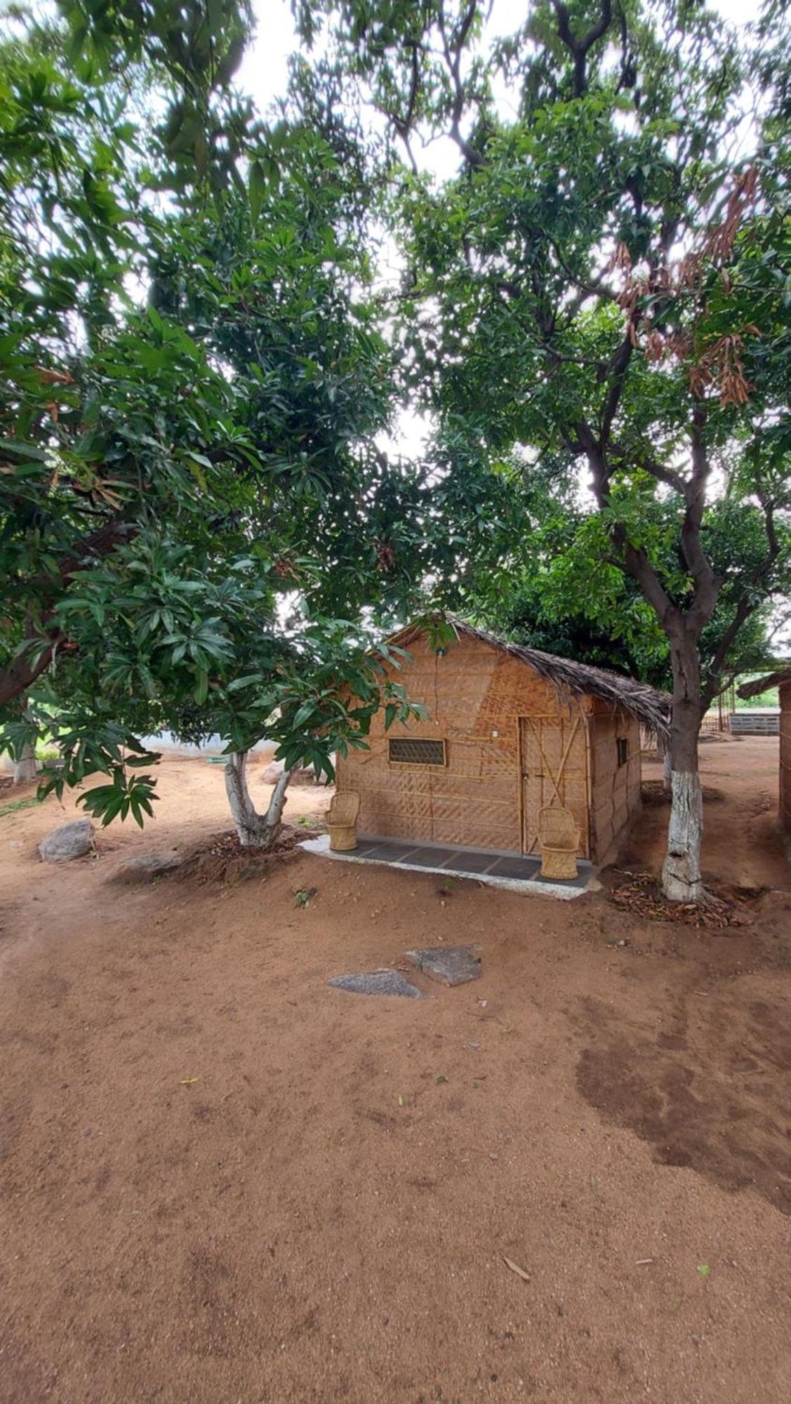 Sunrise Guest House & Restaurant Hampi Zimmer foto