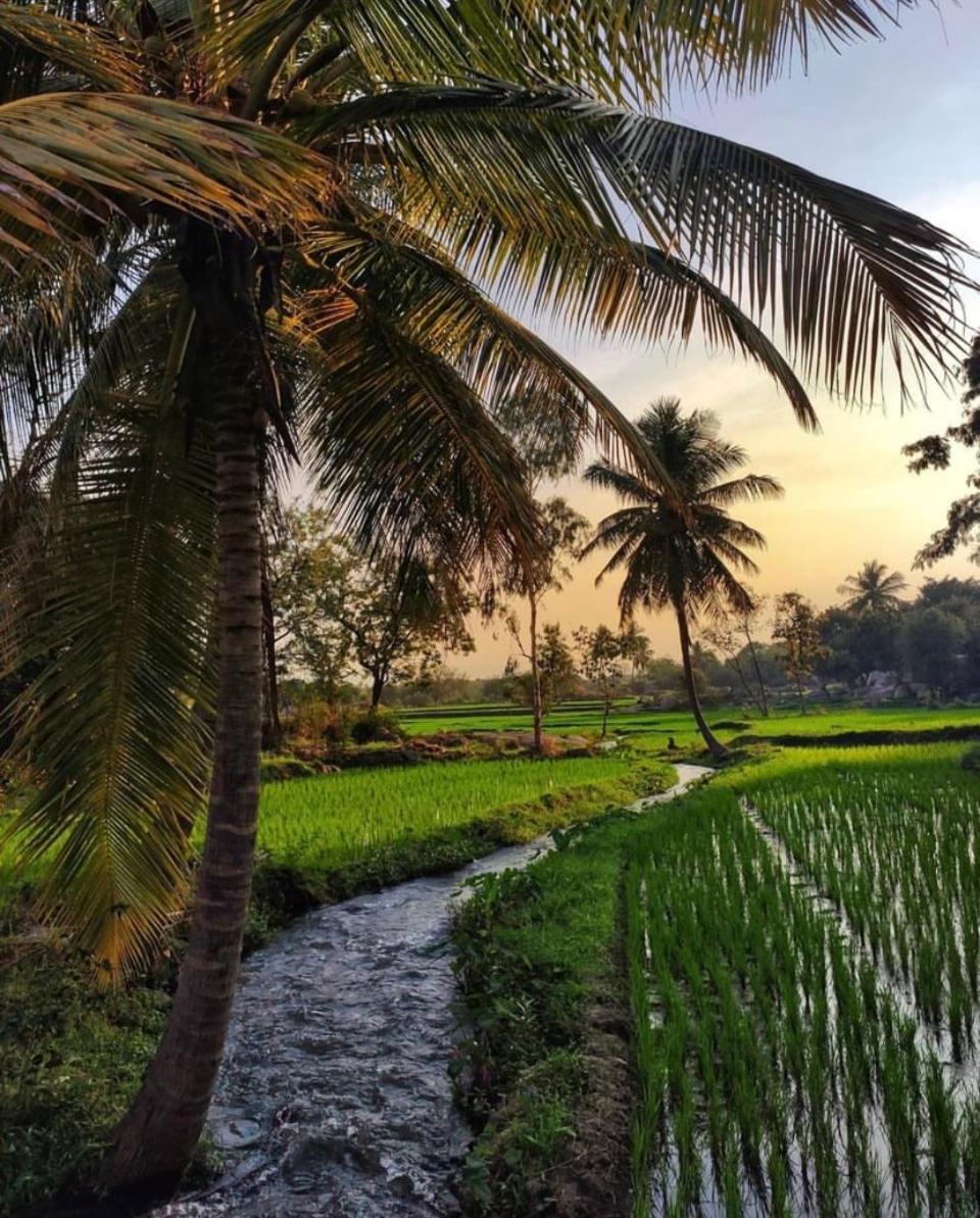 Sunrise Guest House & Restaurant Hampi Exterior foto