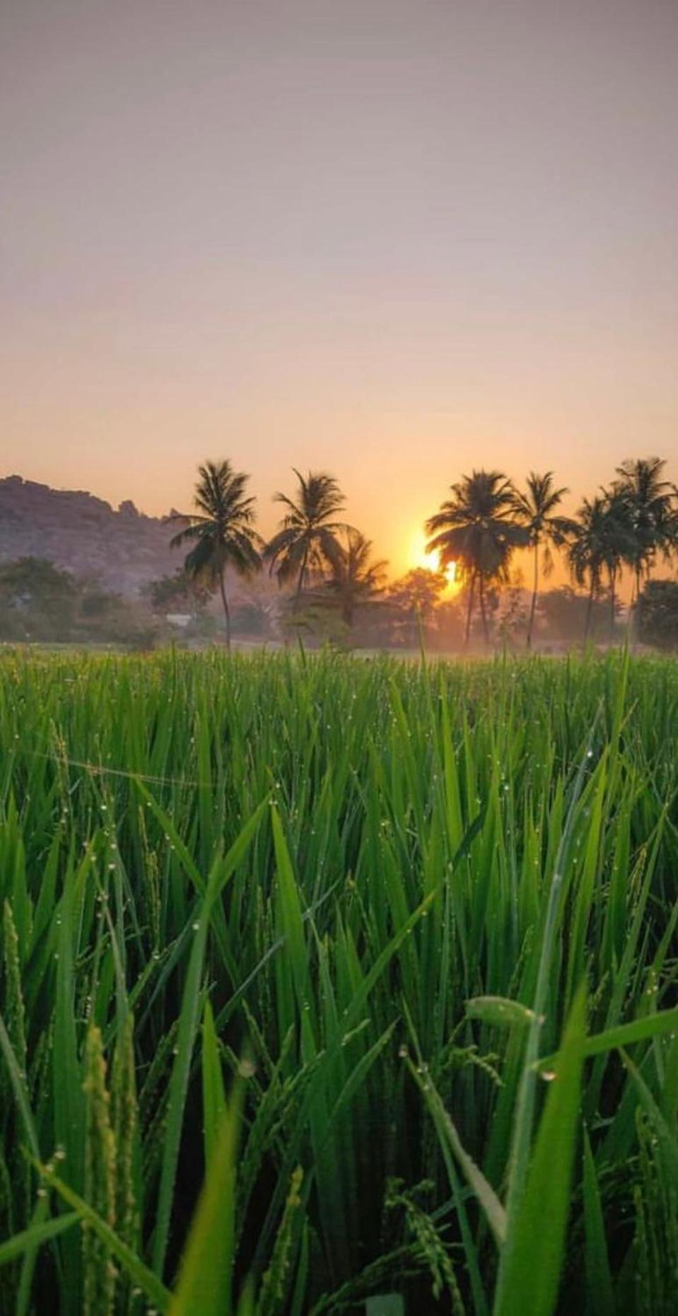 Sunrise Guest House & Restaurant Hampi Exterior foto