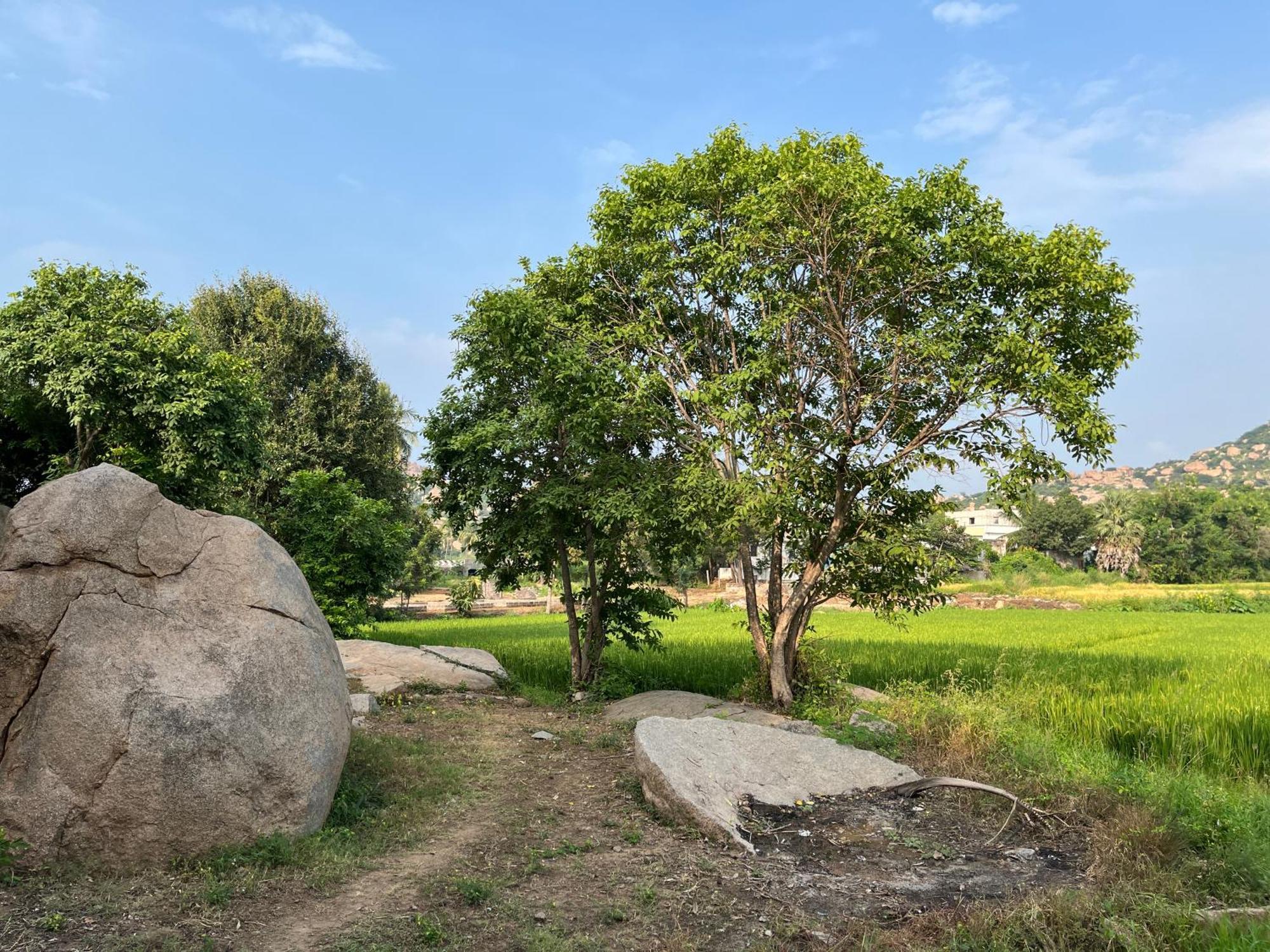 Sunrise Guest House & Restaurant Hampi Exterior foto
