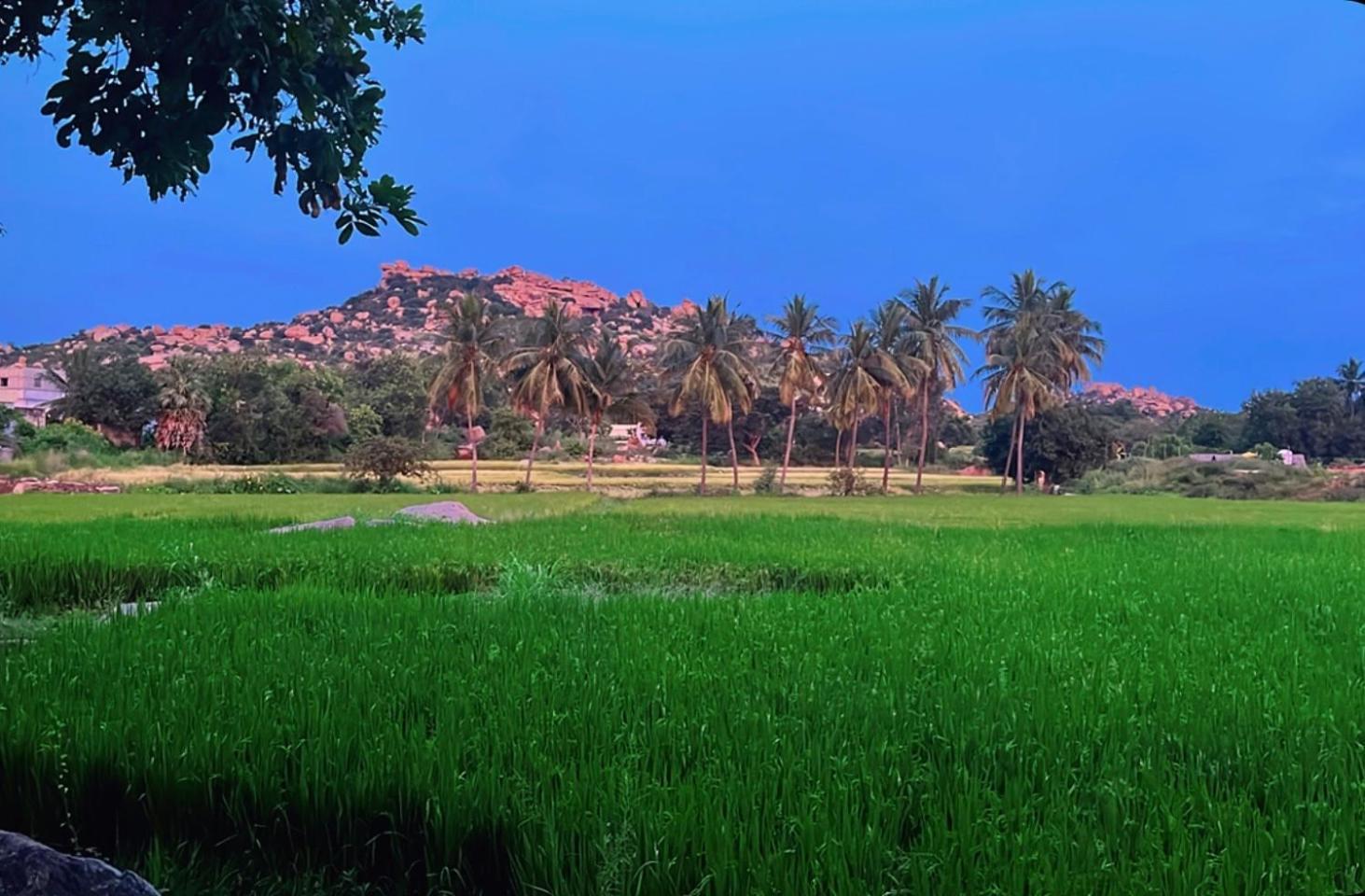 Sunrise Guest House & Restaurant Hampi Exterior foto