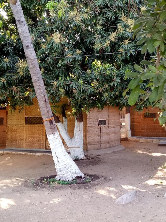 Sunrise Guest House & Restaurant Hampi Exterior foto